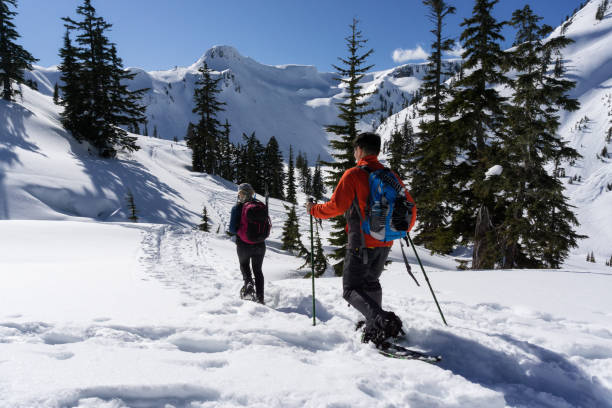 istock Snowshoeing in the snow 1013202072
