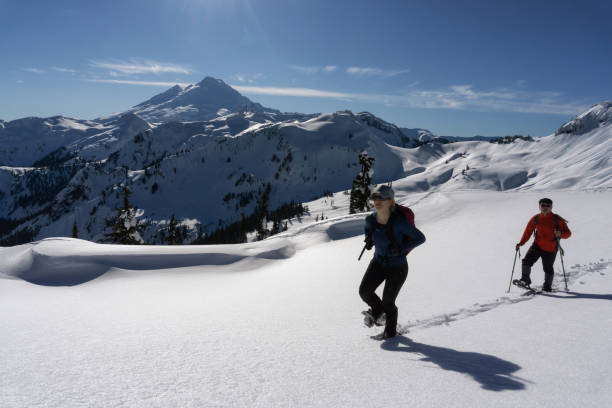 istock Snowshoeing in the Snow 1013202158