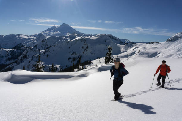 istock Snowshoeing in the Snow 1013202160