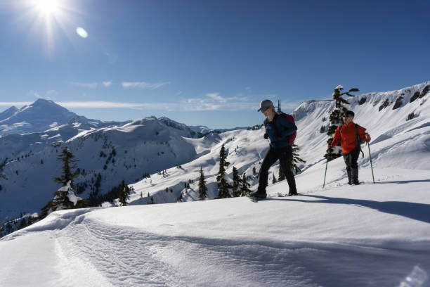istock Snowshoeing in the Snow 1013202206