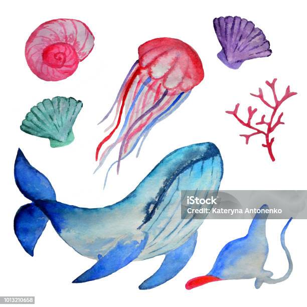 Watercolor Whale And Sea Inhabitants Isolated On A White Background Stock Illustration - Download Image Now