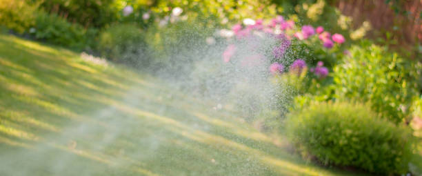istock Garden irrigation 1013212992