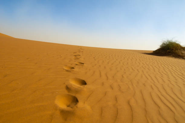 istock Sossusvlei dunes at Dead Vlei 1013213830