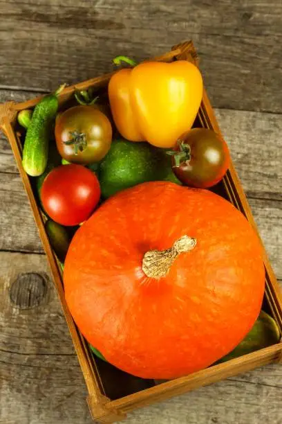 Hokkaido pumpkin in a wooden box with vegetables. Harvesting vegetables on the farm. Sales of pumpkins