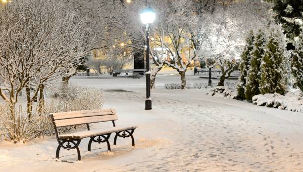 istock snow on trees in Riga park by night 1013248358