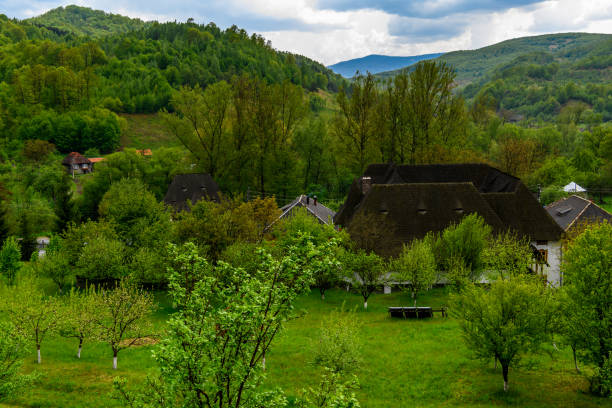 istock Little mountain village in Romania 1013256566