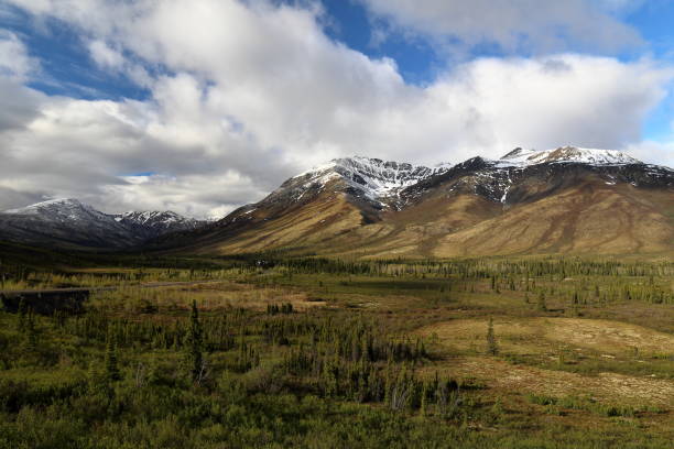 istock Tombstone Territorial Park 1013259510