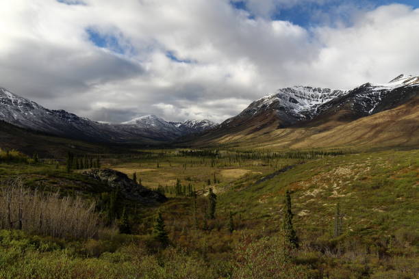 istock Tombstone Territorial Park 1013259580