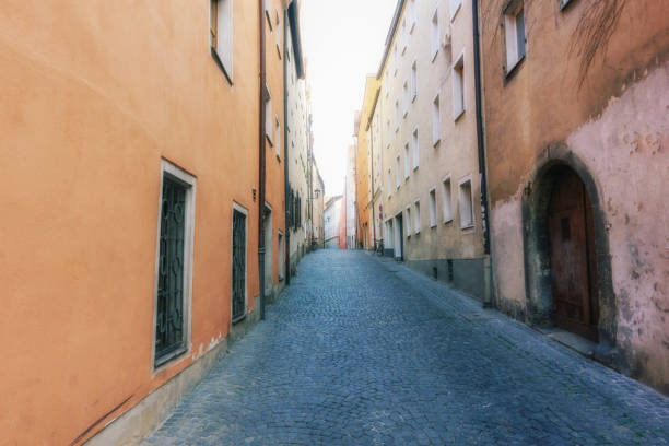 istock Regensburg in Bavaria Germany 1013275360