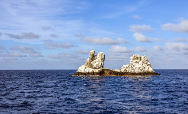 istock Roca Partida, Revillagigedos Island, Mexico 1013286066