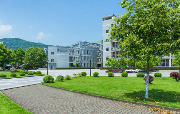 istock Beautiful meadows and trees, people walking outside the university building 1013286536