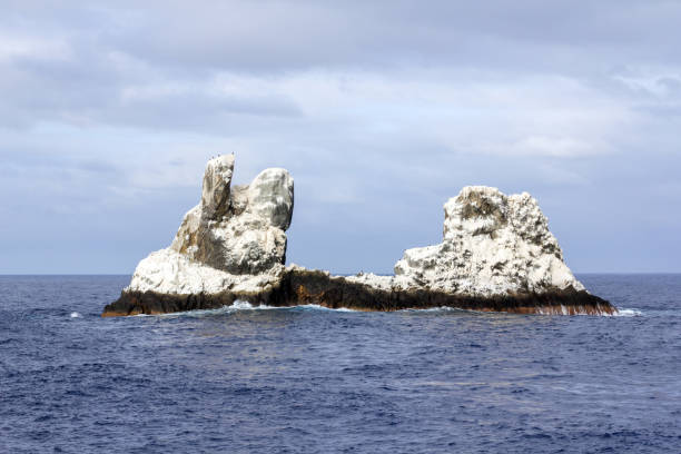 istock Roca Partida, Revillagigedos Island, Mexico 1013296612