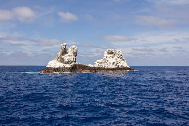 istock Roca Partida, Revillagigedos Island, Mexico 1013299856
