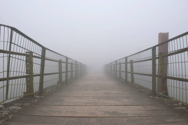 istock Walkway Covered by a Fog 1013300198