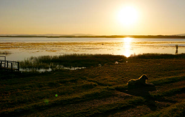 istock isikli lake, Denizli, Turkey 1013303514
