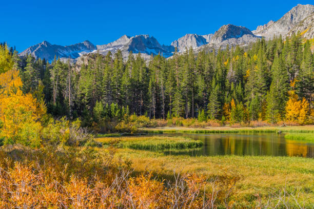 istock Bishop Creek small pond in Autumn, Sierra Nevada Range, CA. 1013305968