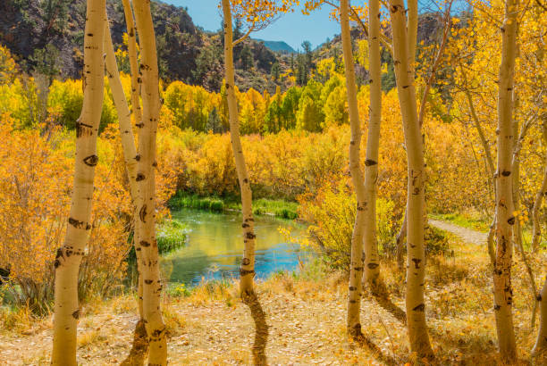 istock Bishop Creek canyon's Autumn, Sierra Nevada Range, CA. (P) 1013306032