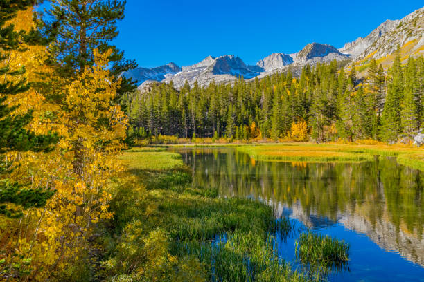 istock Bishop Creek small pond in Autumn, Sierra Nevada Range, CA. 1013306052