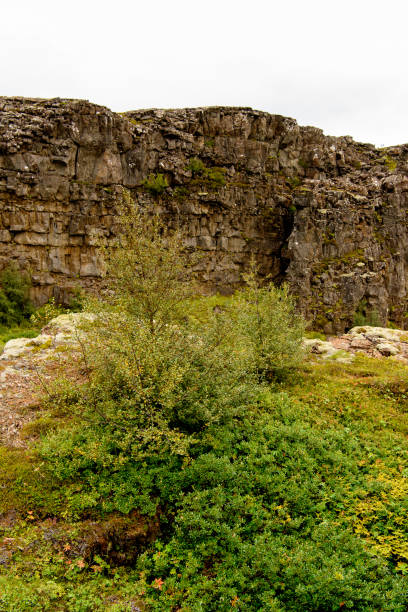 istock Thingvellir, a national park founded in 1930. World Heritage Site 1013319514