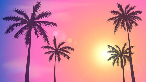 Sunset sky and palm trees Background with sunset sky and palm trees, tropical resort, Miami beach background stock illustrations