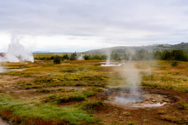 istock Geyser valley in Iceland 1013321966