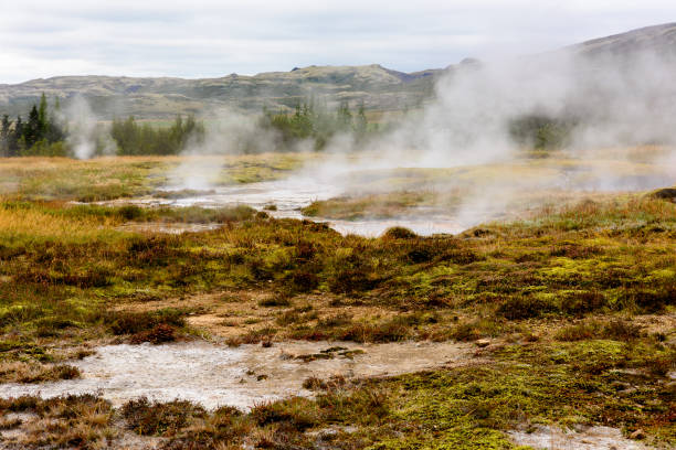 istock Geyser valley in Iceland 1013322038