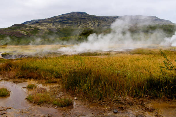 istock Geyser valley in Iceland 1013322070