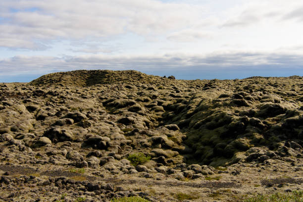 istock Frozen volcanic lava in Iceland 1013327188