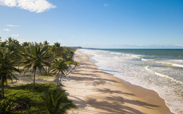 istock Tropical deserted beach with coconut trees 1013331300