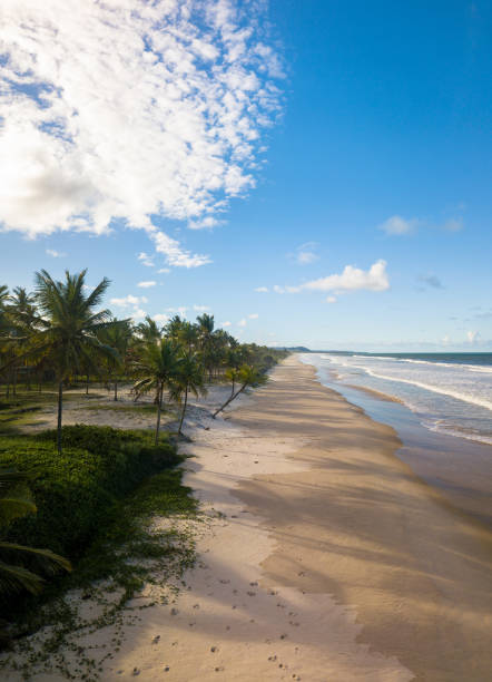 istock Tropical deserted beach with coconut trees 1013337030