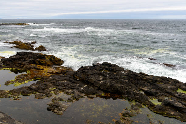 istock Nature of Iceland 1013337514
