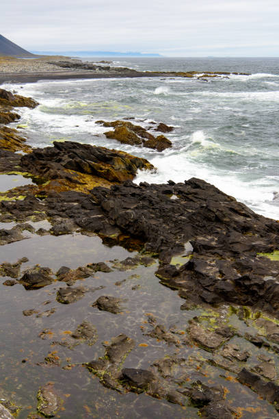 istock Nature of Iceland 1013337552