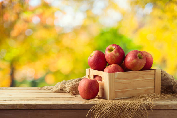 istock Red apples in wooden box on table 1013340278
