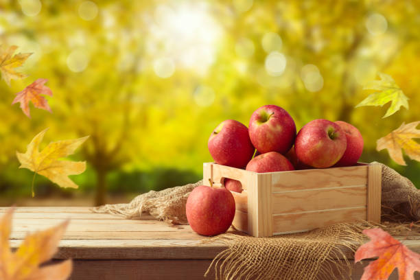 istock Red apples in wooden box on table 1013340292