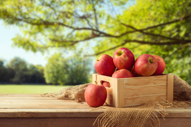 istock Red apples in wooden box on table 1013340328