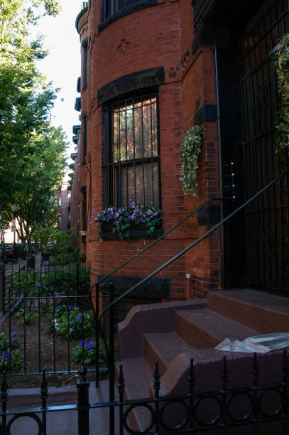 istock Brownstones of Boston 1013340332