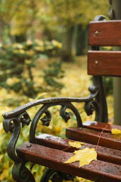 istock Autumn in the park 1013363730