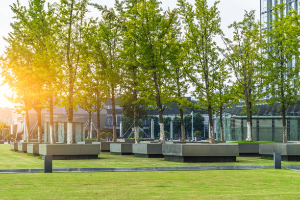 City, Cityscape, Public Park, Summer, Asia