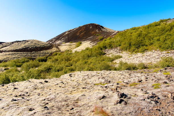 istock Beautiful landscape of Iceland 1013367112
