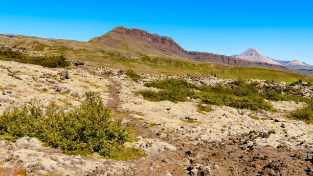 istock Beautiful landscape of Iceland 1013367130