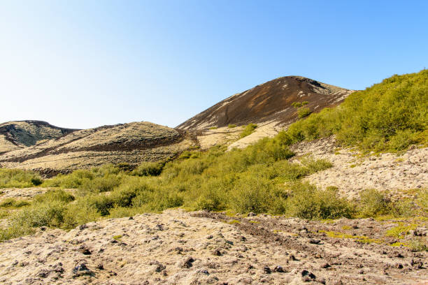 istock Beautiful landscape of Iceland 1013371462