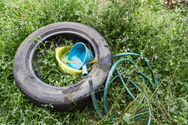 istock Standing water trapped in tire and containers breed mosquito 1013374396