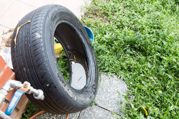 istock Standing water trapped in tire and containers breed mosquito 1013374424