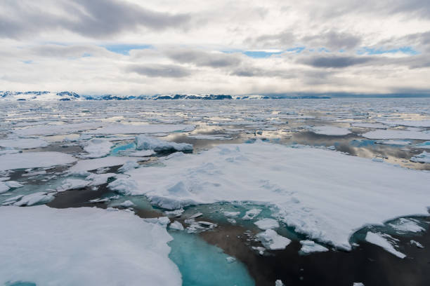 istock Ice pieces on the water in Arctic 1013374926