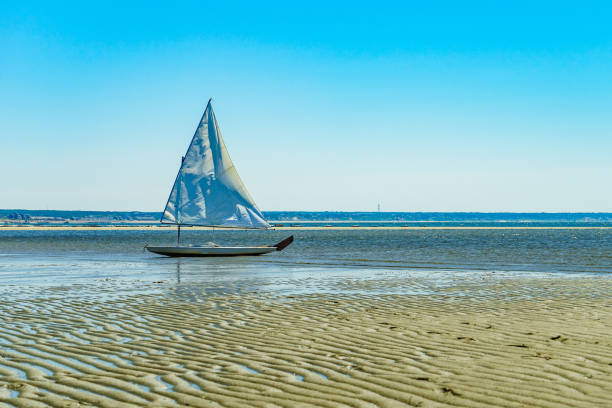 istock Yacht and Beautiful landscape of ocean beach Cape cod Massachusetts 1013377008