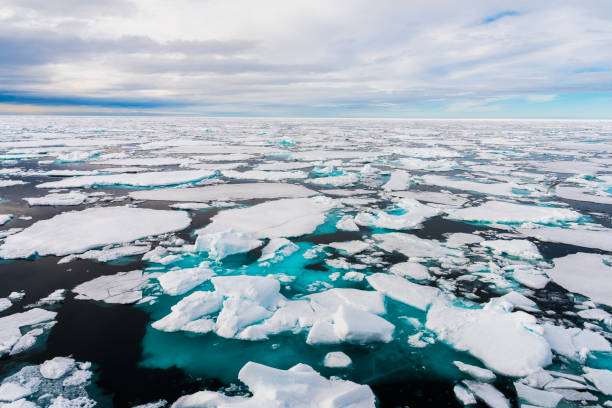 istock Ice pieces on the water in Arctic 1013377160
