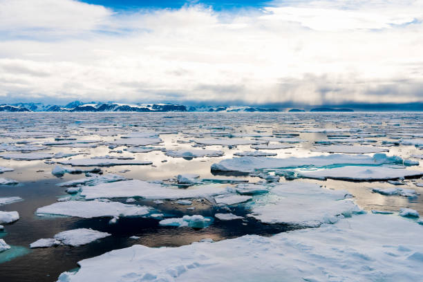 istock Ice pieces on the water in Arctic 1013377200