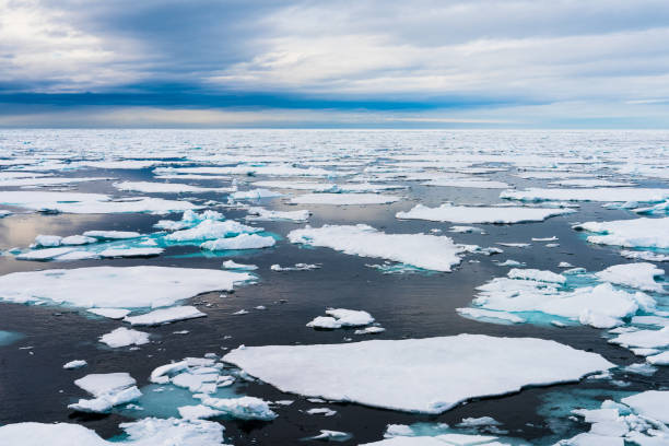 istock Ice pieces on the water in Arctic 1013377204