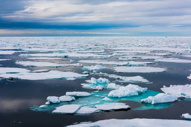 istock Ice pieces on the water in Arctic 1013377246