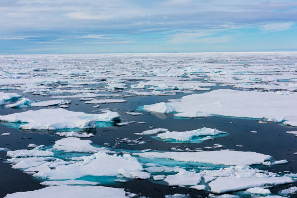 istock Ice pieces on the water in Arctic 1013377266